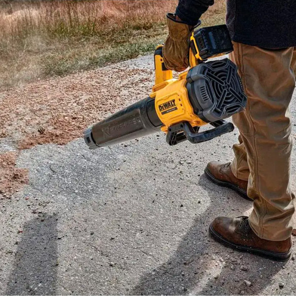 Повітродувка акумуляторна DeWALT DCMBL562P1