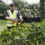 Кущоріз акумуляторний DeWALT DCMHT563N, (без акумулятора і ЗП)