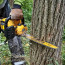 Акумуляторна ланцюгова пила DeWALT DCMCS574N