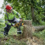 Акумуляторна ланцюгова пила DeWALT DCMCS574X1